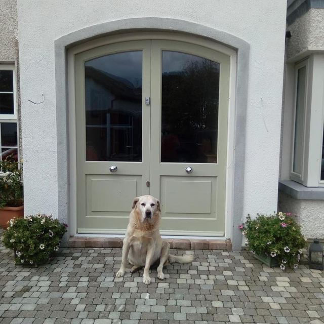 Pair of arched doors and frame — Accoya · supplied and fitted (the dog insisted)